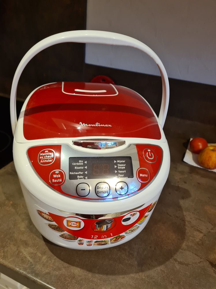 Multicuiseur 60 Ch�tillon-sur-Loire (45)