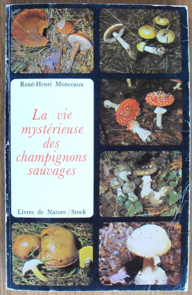 La vie myst�rieuse des champignons sauvages 15 Camors (56)