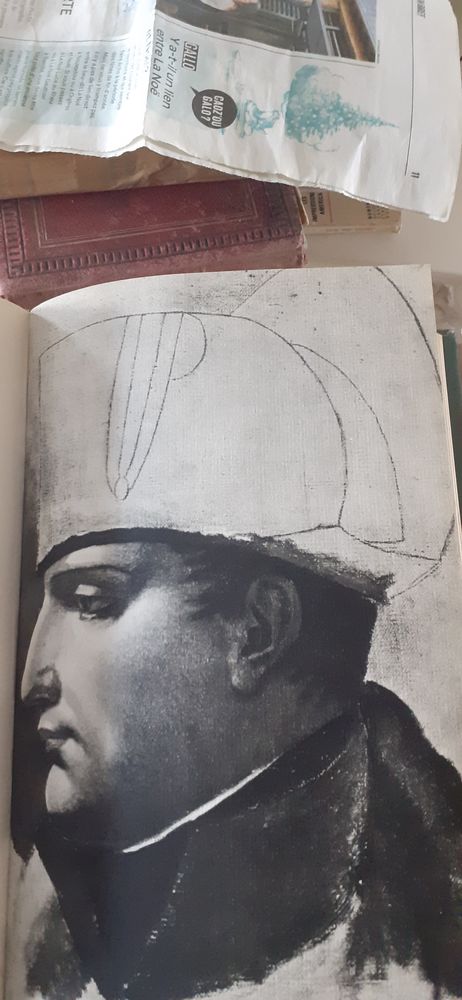 NAPOLEON 7 Rennes (35)