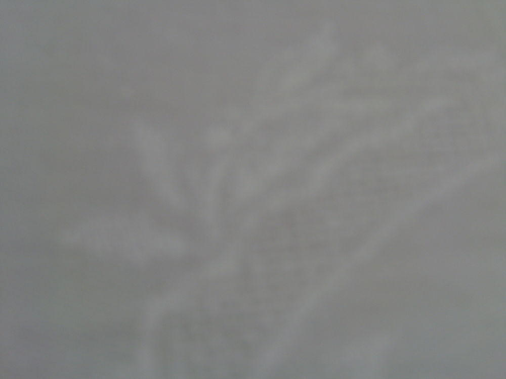 NAPPE DAMASSEE ANCIENNE ET 12 SERVIETTES 50 Verri�res (10)