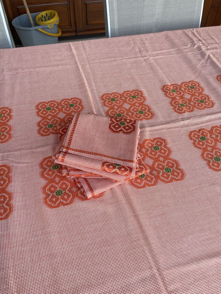 Nappe et serviettes assorties 15 Peyrins (26)