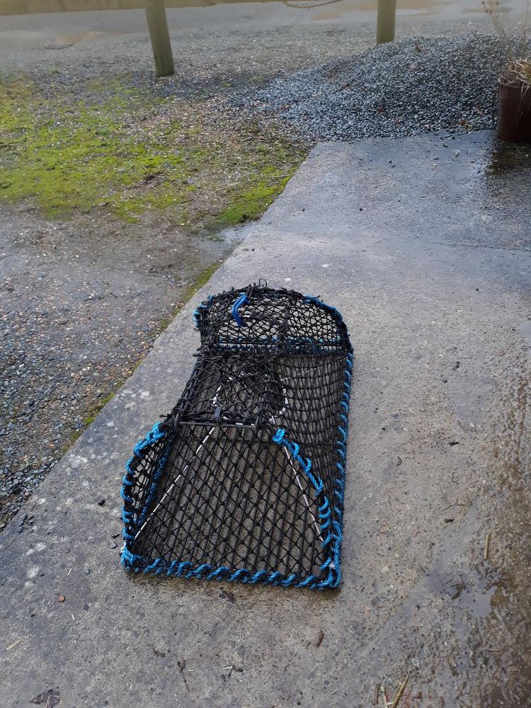 NASSE � Crustac�s 80 Saint-Mars-d'Outill� (72)