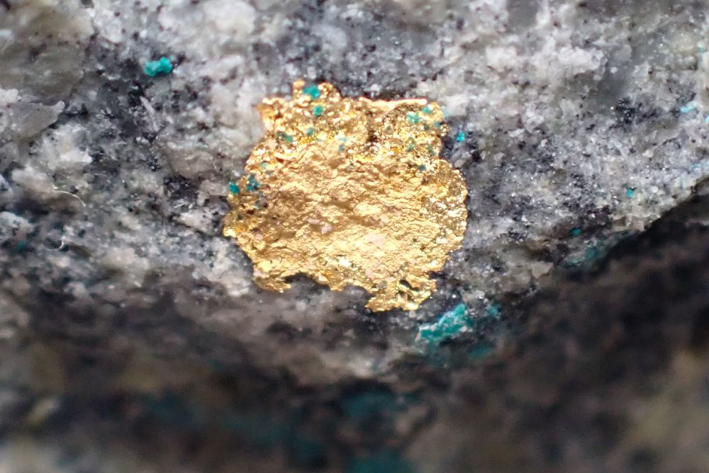 Or natif & Atacamite , La Compagni� Mine Sierra Gorda Chili 75 Bertrichamps (54)