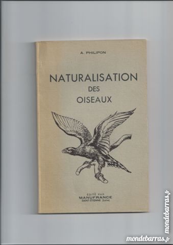 Naturalisation des oiseaux 10 Charleville-Mézières (08)