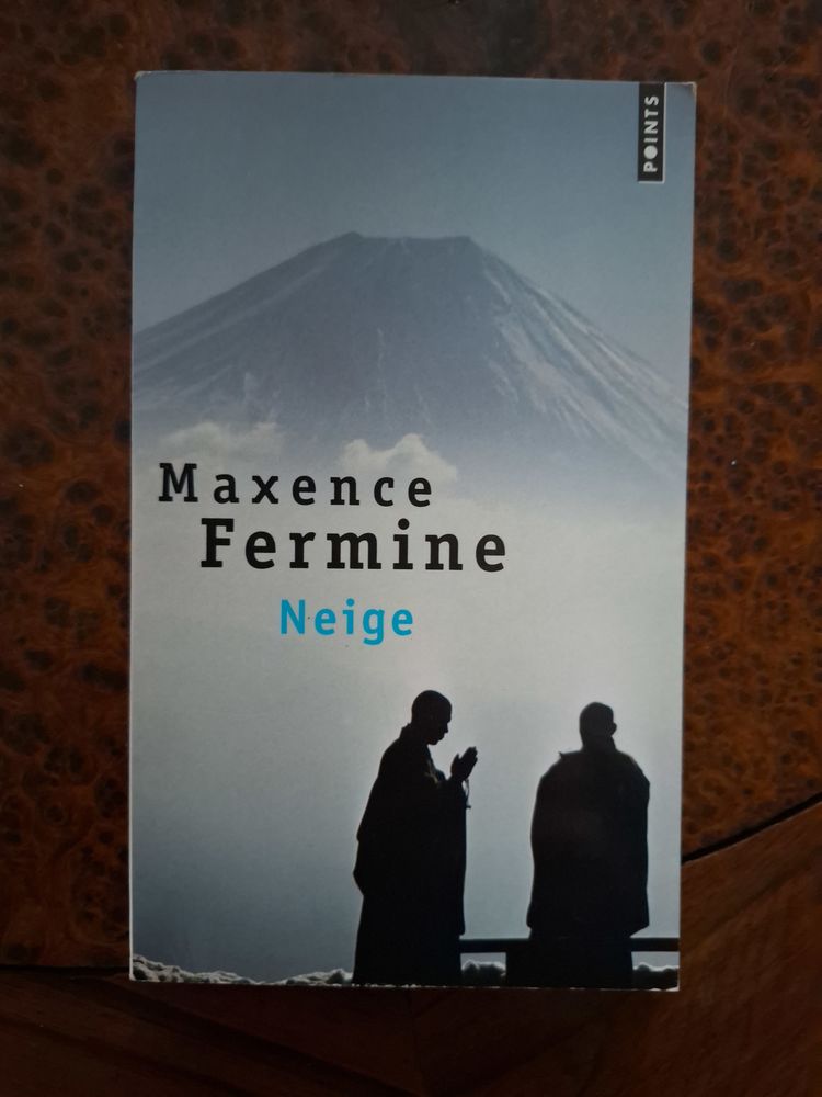 Neige - Maxence Fermine - 2011 - bon �tat 1 La Chapelle-Saint-Luc (10)