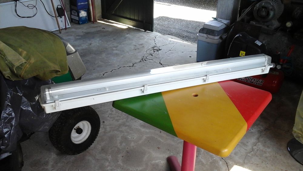 N�on neuf 150cm 20 Maignaut-Tauzia (32)