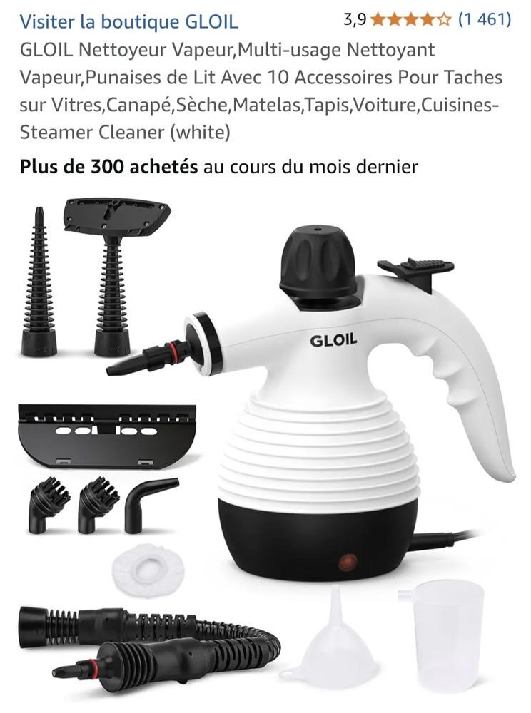 Nettoyeur vapeur et ses accessoires ainsi boite d'origine 28 Nimes (30)