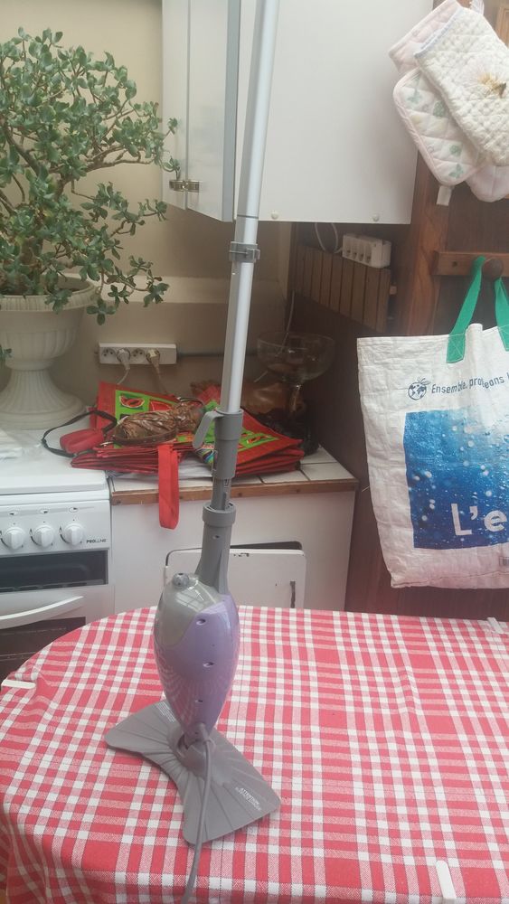 Nettoyeur Vapeur Sol Neuf 20 Rouen (76)