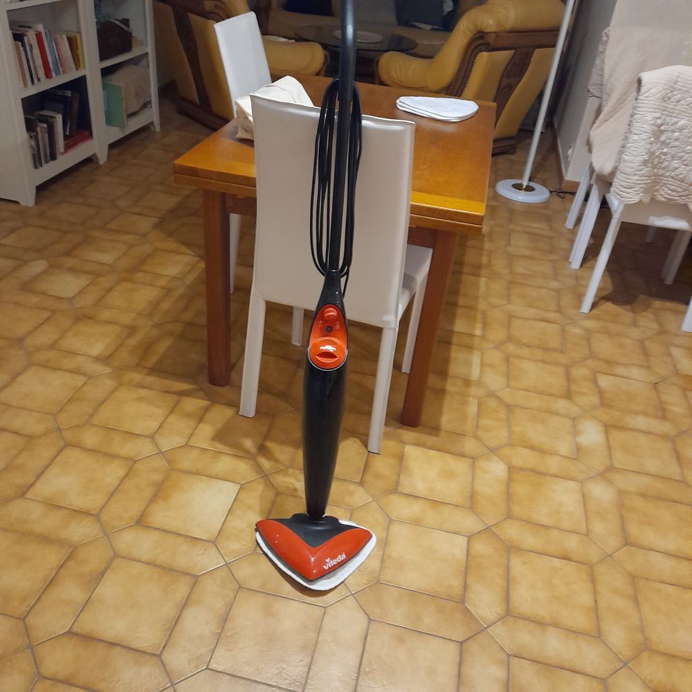 nettoyeur vapeur VILEDA 30 Saint-�tienne-en-Bresse (71)