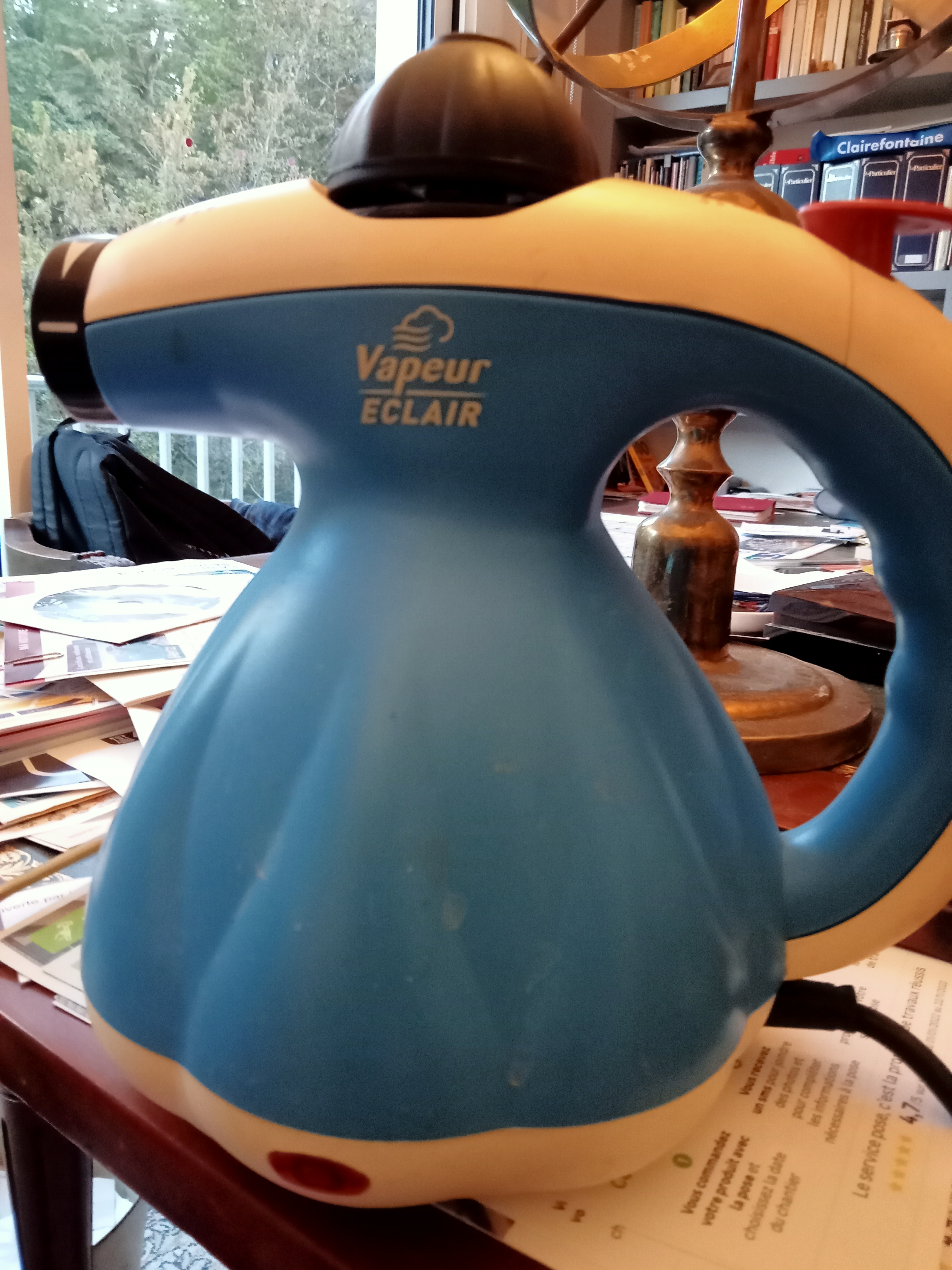 Nettoyeur Vapeur 15 Nantes (44)