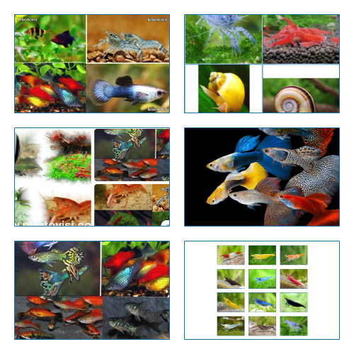 NETTOYEURS CREVETTES 1 Krautergersheim (67)