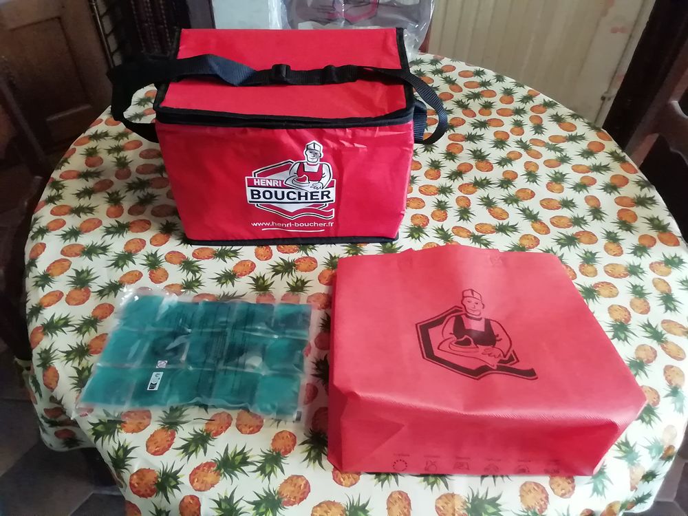 Lot neuf frigo box +1 pack gel + 1sac. 12 Noyelles-l�s-Vermelles (62)