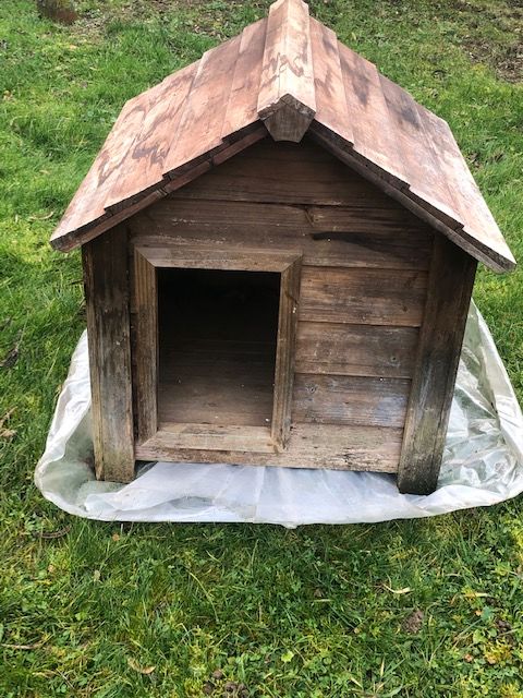 Niche � chien. 20 �pernay (51)