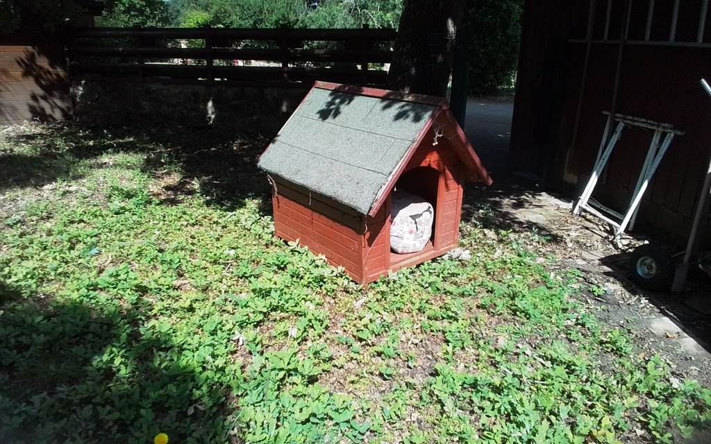 Niche ext�rieure en bois rouge pour petit chien � restaurer 35 La Fresnaye-sur-Ch�douet (72)