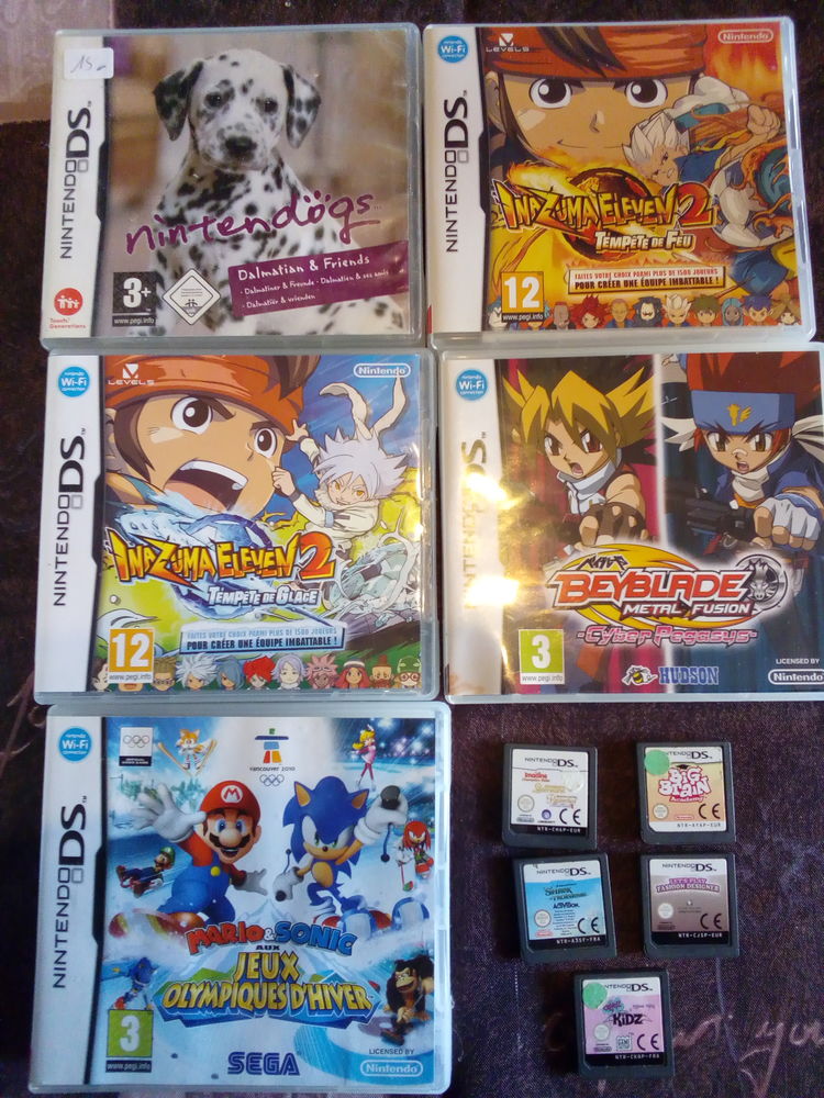 DS  Nidendo 10 La Gacilly (56)