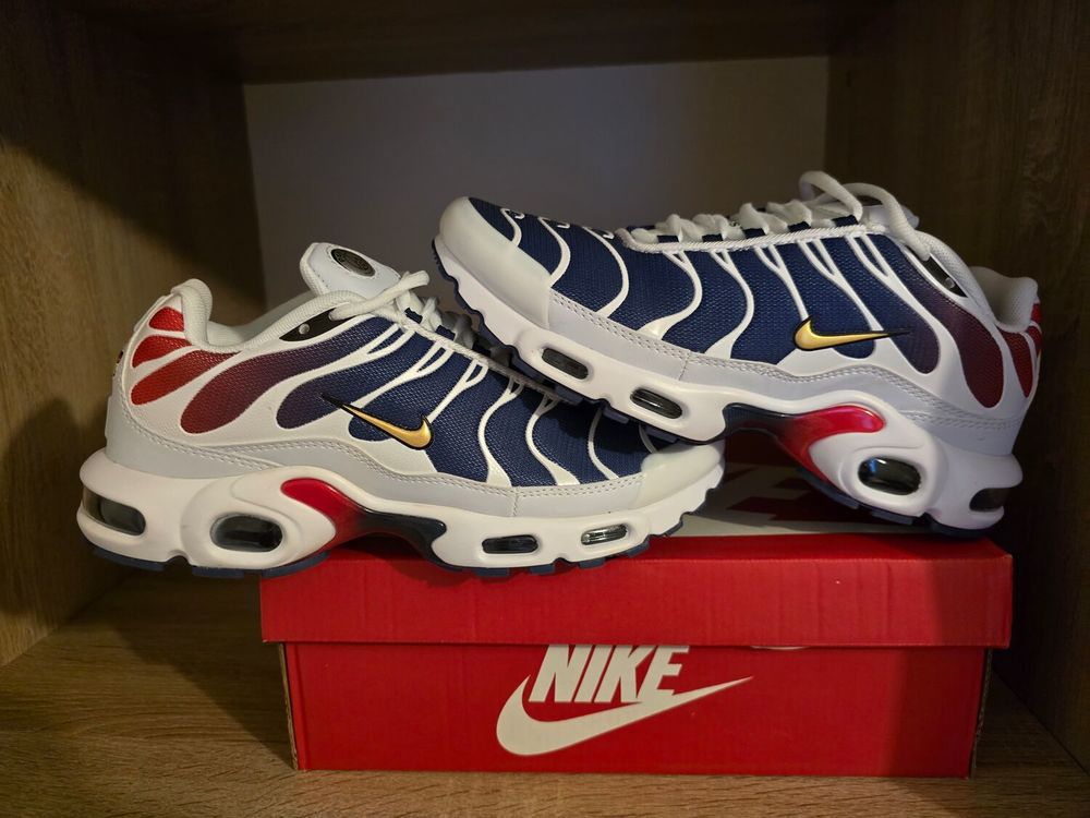 Nike Air Max Plus TN Requin PSG 60 Tours (37)