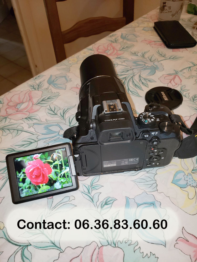 Nikon bridge p950 770 Meuzac (87)