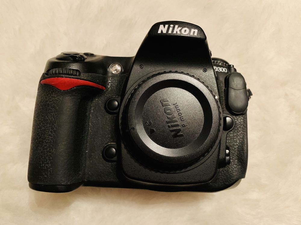 nikon D300 250 Vaucresson (92)