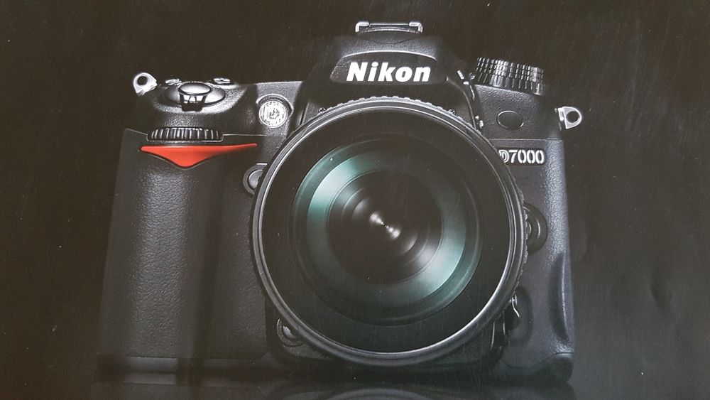 NIKON D7000 0 Bordeaux (33)