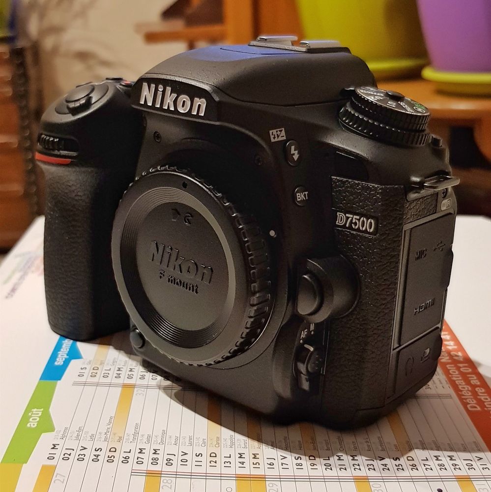 Nikon D7500 780 Castanet-Tolosan (31)