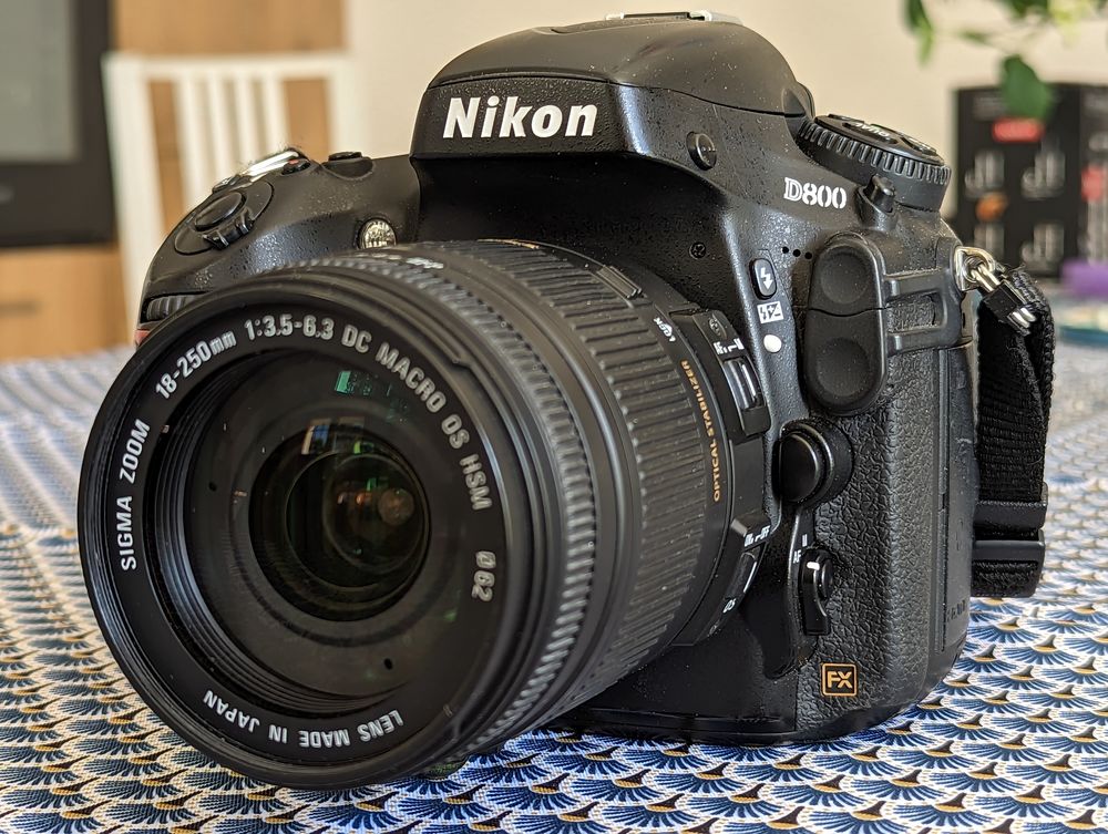 Nikon D800 tbe + Sigma 18-250 + flash SB-600 + accessoires 800 Montauroux (83)