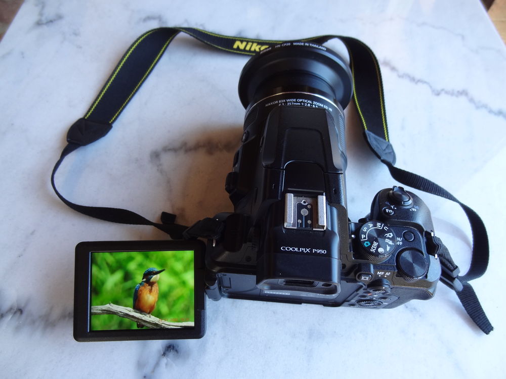 Nikon P950 0 Poitiers (86)