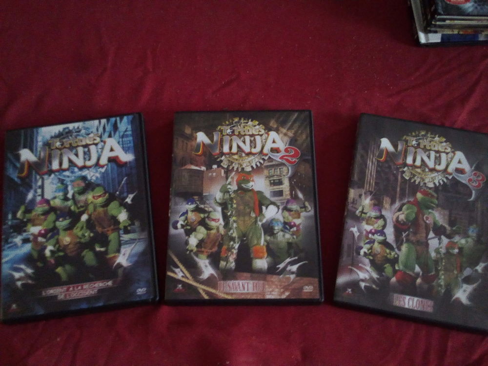 DVD Ninja 10 Sainte-Verge (79)