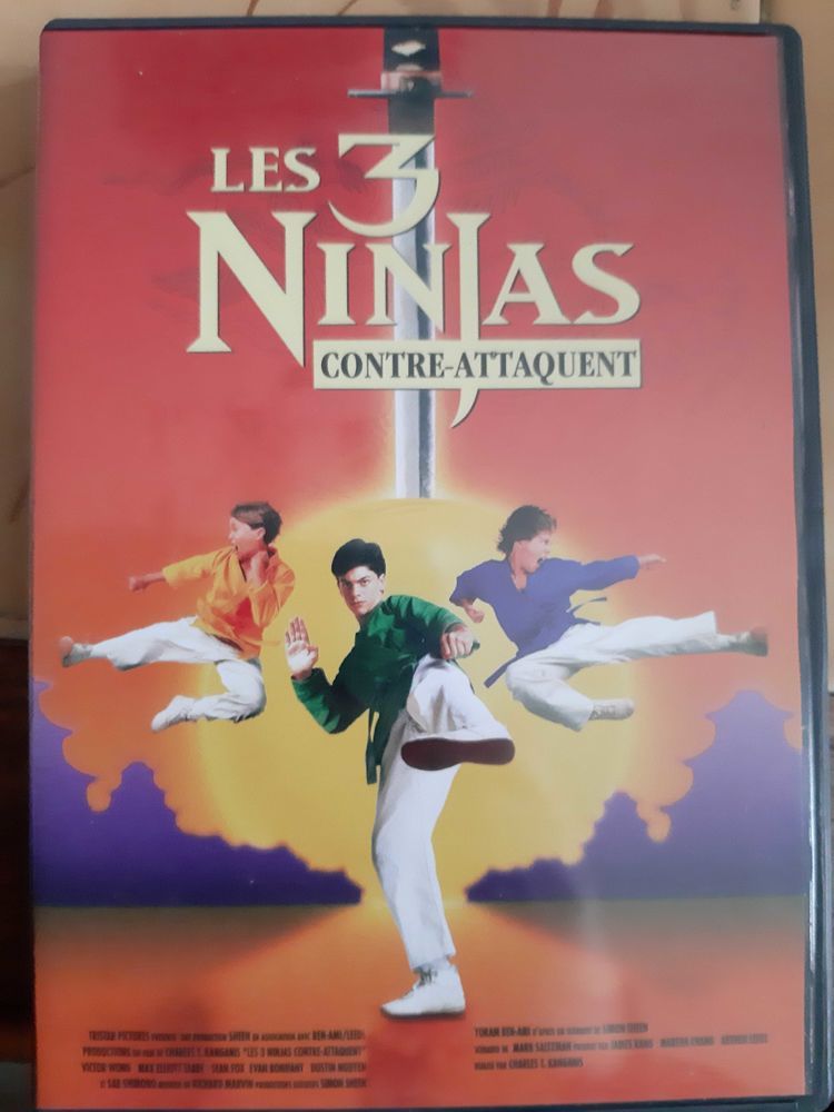Les 3 Ninjas contre-attaquent 10 Noyelles-sous-Lens (62)
