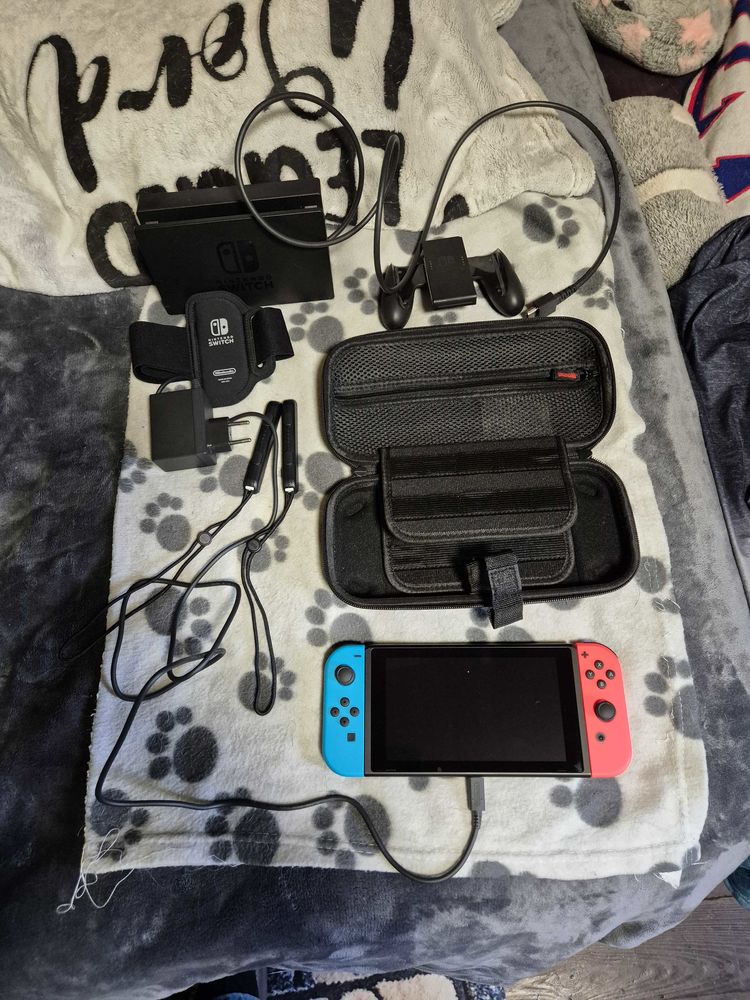 Nintendo switch 300 Aydat (63)