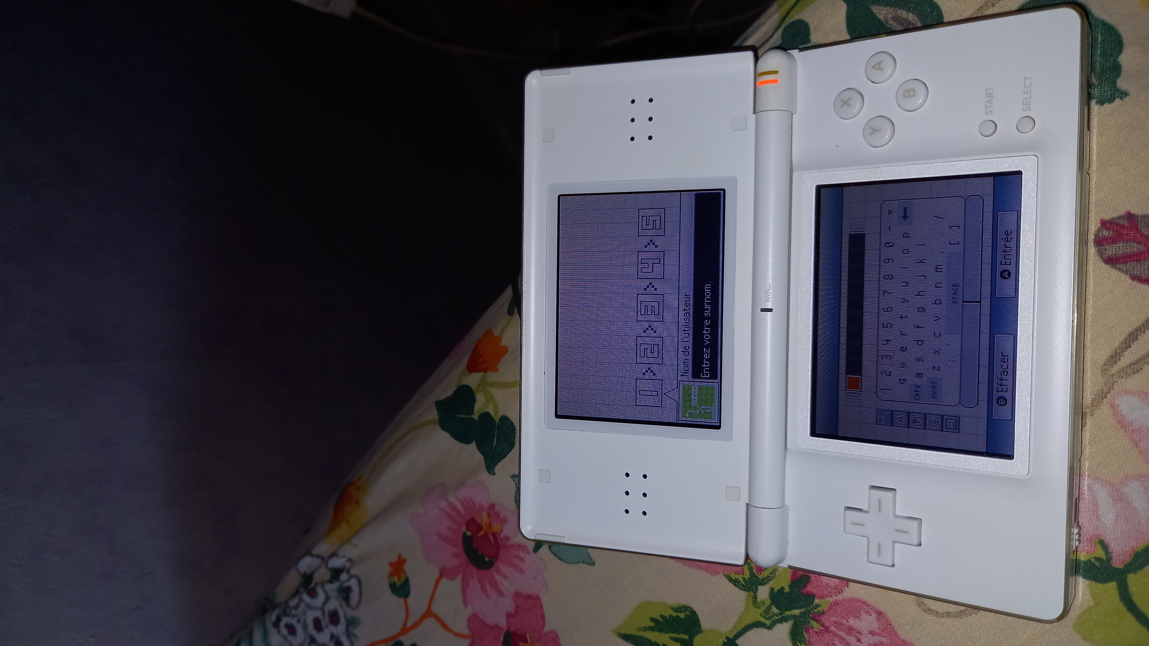 DS NITENDO 40 Reims (51)