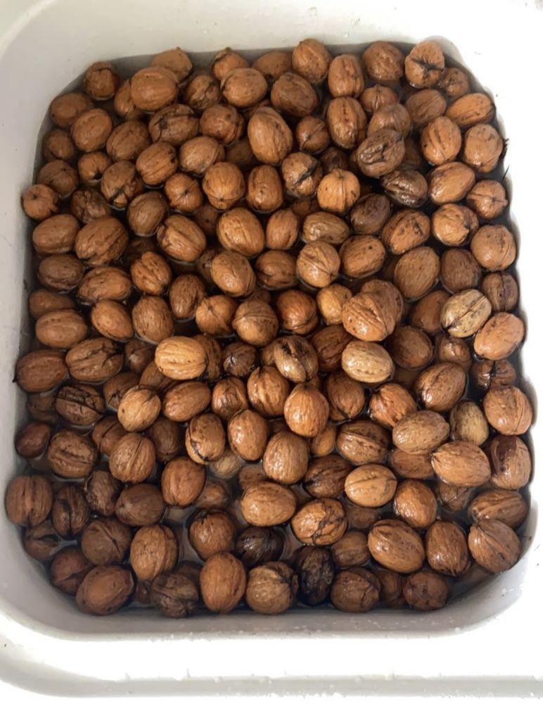  Noix fra�che 3 Pontorson (50)