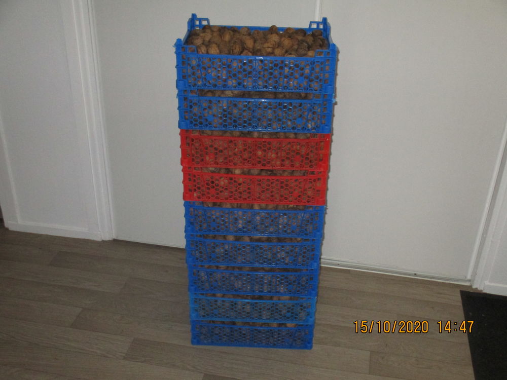 noix fra�ches 3 Malz�ville (54)