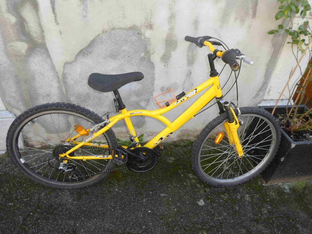 Nombreux v�los toutes tailles reconditionn�s 0 Arudy (64)