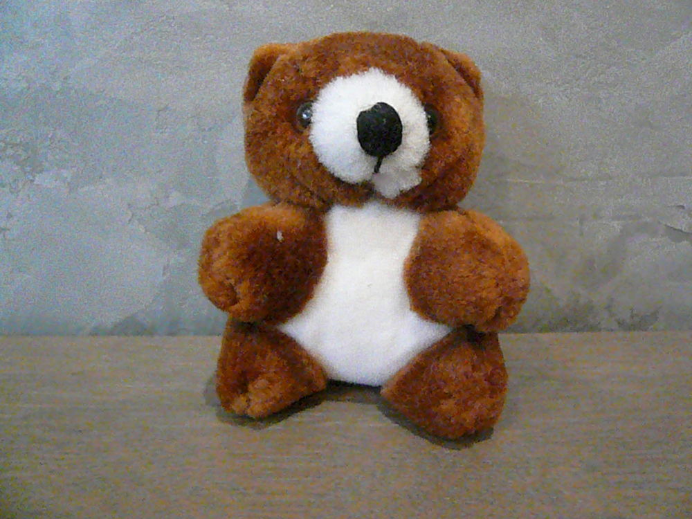 Nounours en peluche 2 Franqueville-Saint-Pierre (76)