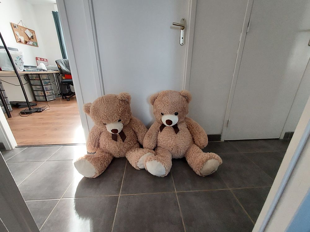 Nounours 60 cms 8 La Bosse-de-Bretagne (35)