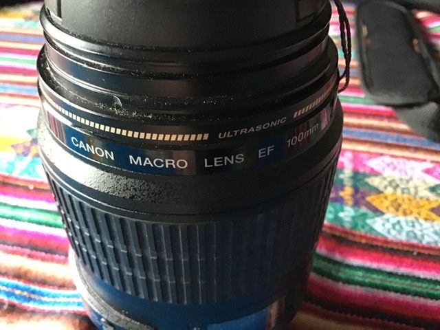 Objectif macro canon 
310 Notre-Dame-de-M�sage (38)