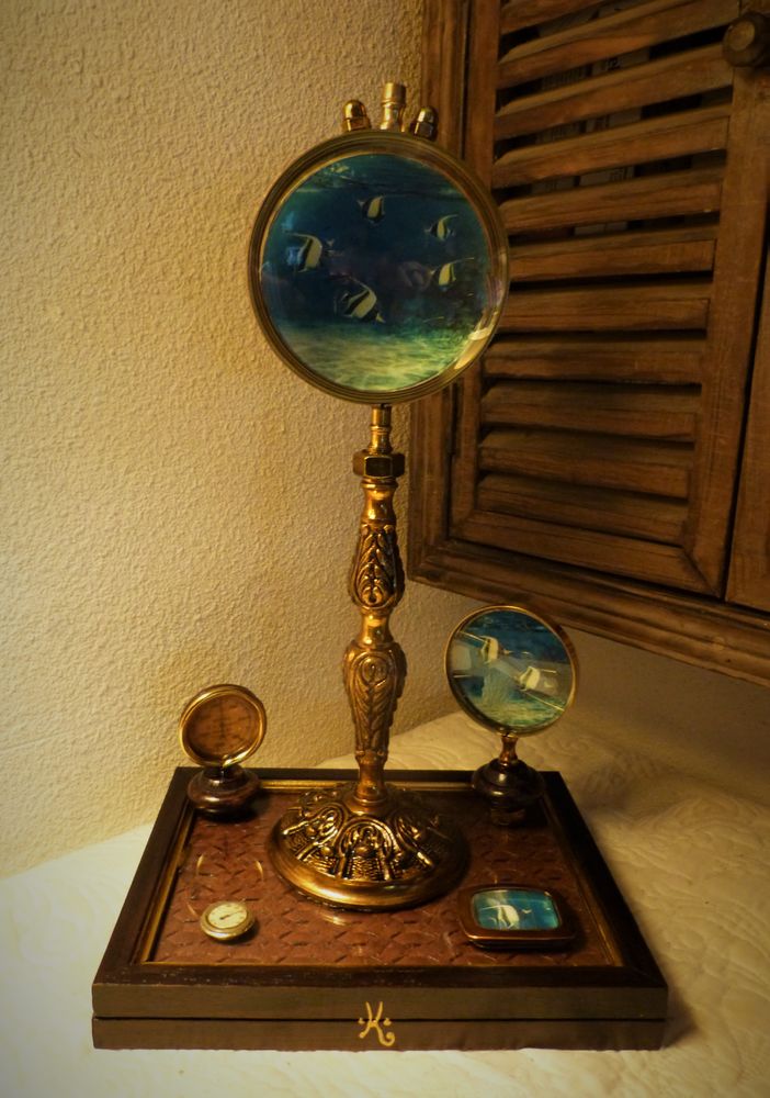 Objet de Curiosit�s  STEAM AQUARIUM XIX  Steampunk 55 Mont-de-Marsan (40)