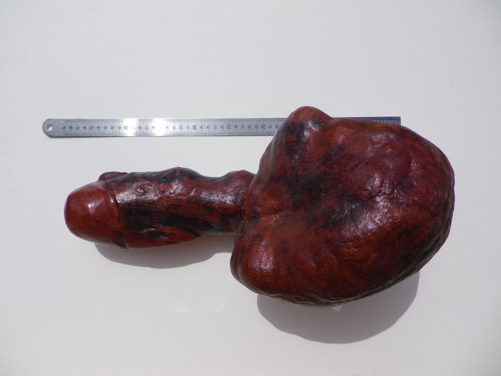 objet de d�coration broussin d'aubier  massif 150 Cagnes-sur-Mer (06)