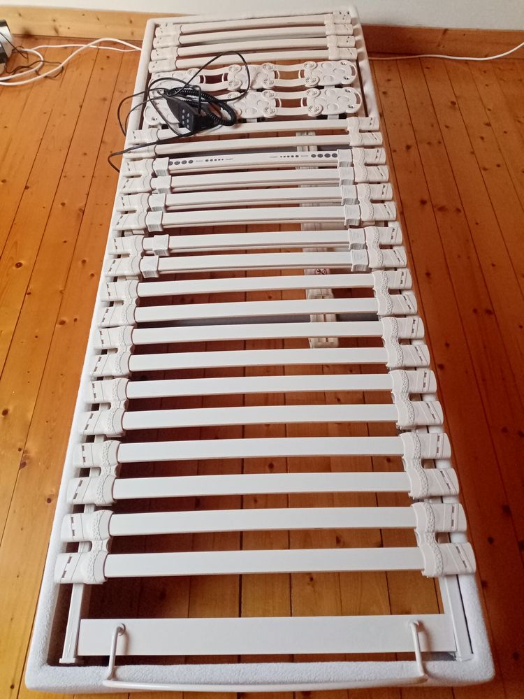 Occasion 250 Roscanvel (29)