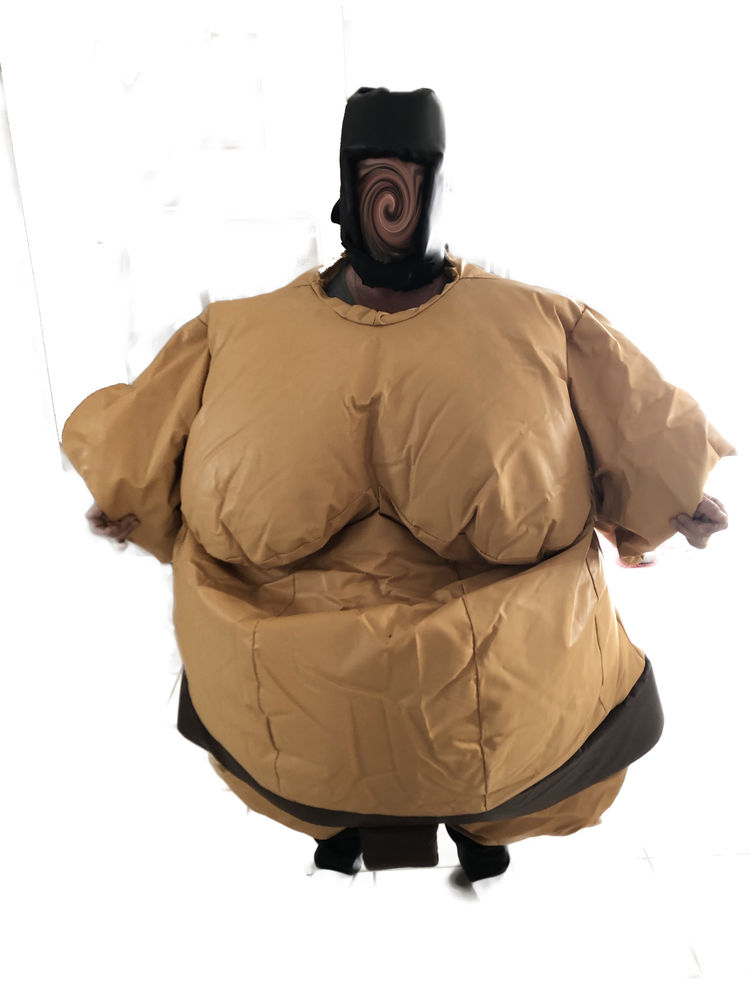 Occassion - lots de combinaisons de sumos 2100 Montauban (82)