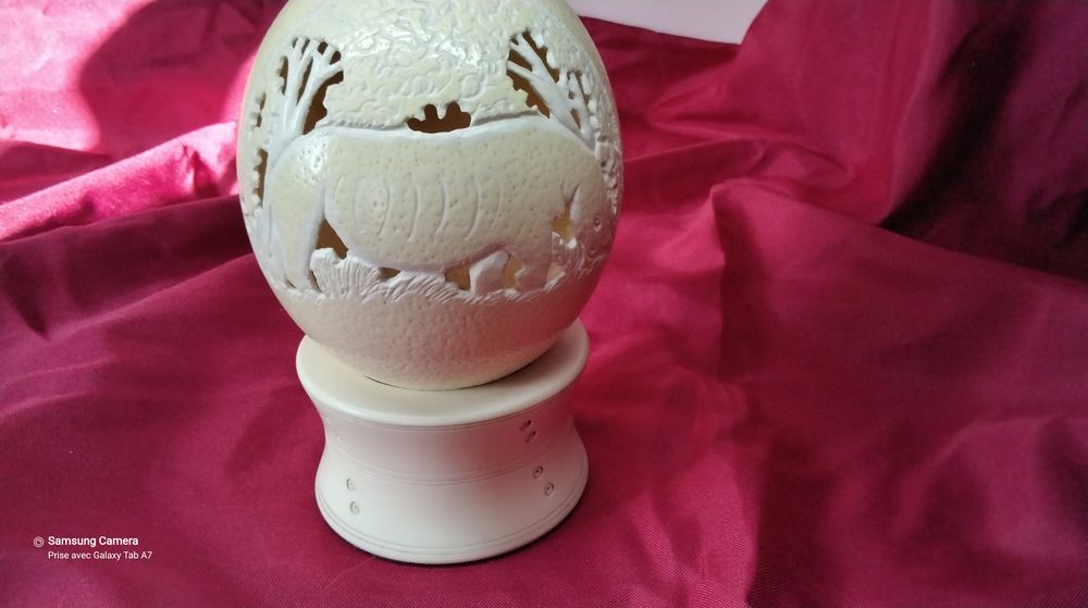 OEUF  D AUTRUCHE 50 Saint-Priest (69)