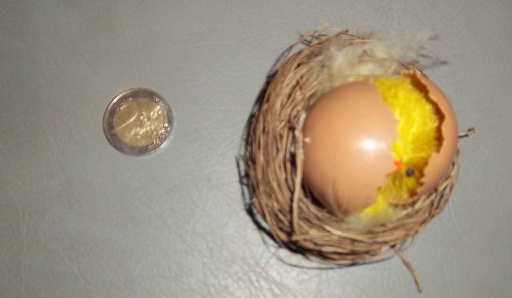 Nid oeuf avec poussin 1 Colombier-Fontaine (25)