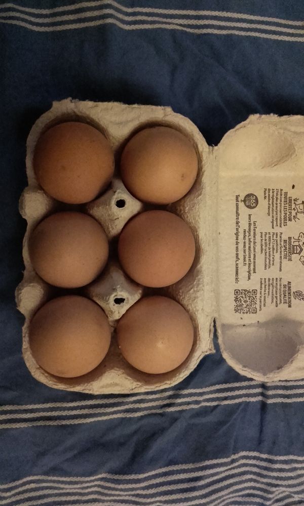 les 'oeufs de ma ferme 
plus   poule pondeuse 2 Cassagnab�re-Tournas (31)