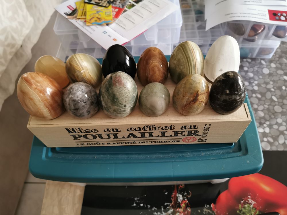 12 Oeufs fraichement pondus 59 Valdahon (25)