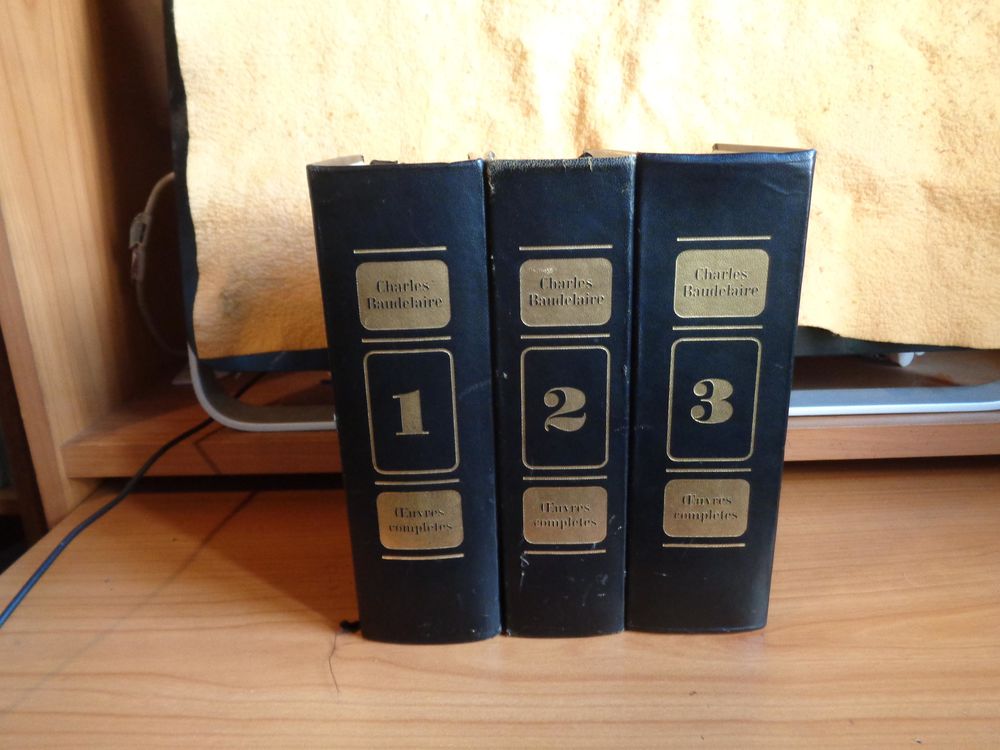 oeuvre dde charles baudelaire 45 Villecomtal (12)