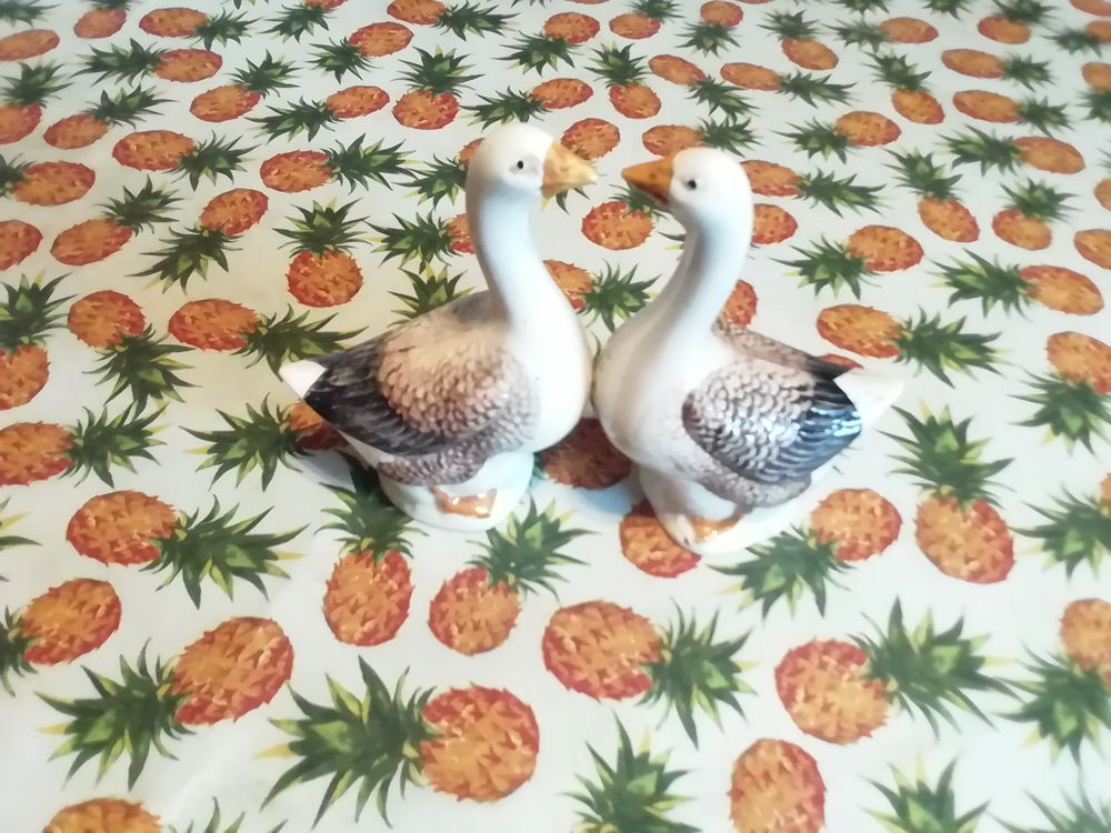 Oies sel poivre 15 Noyelles-l�s-Vermelles (62)