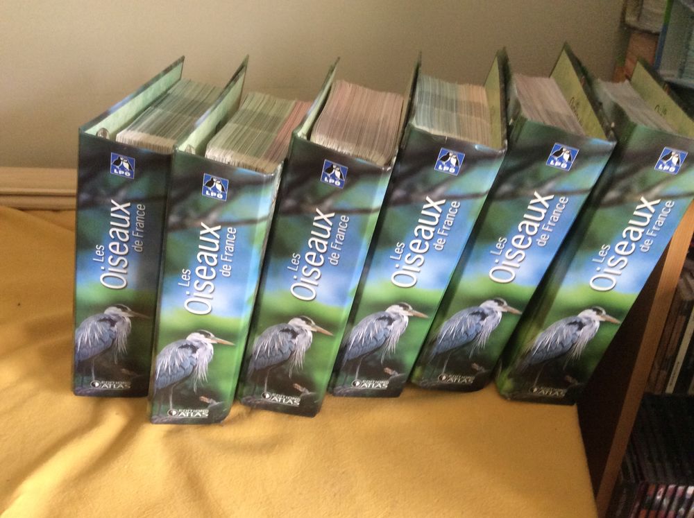 Oiseaux de France 90 Les �crennes (77)