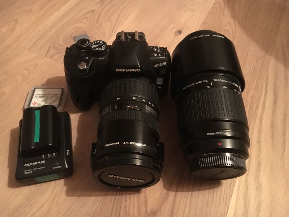 OLYMPUS E520 + Objectif 70-300 50 Avignon (84)