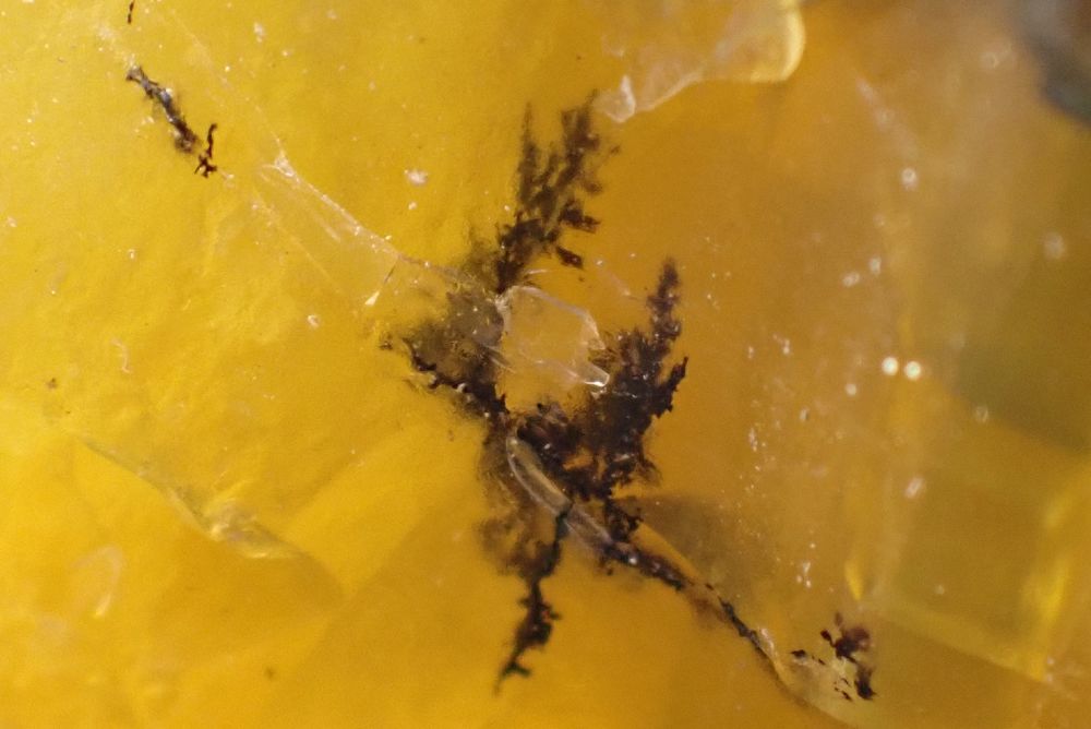 Opale � Dendrites , cercle de Nioro , Kayes , Mali 24gr 12 Bertrichamps (54)