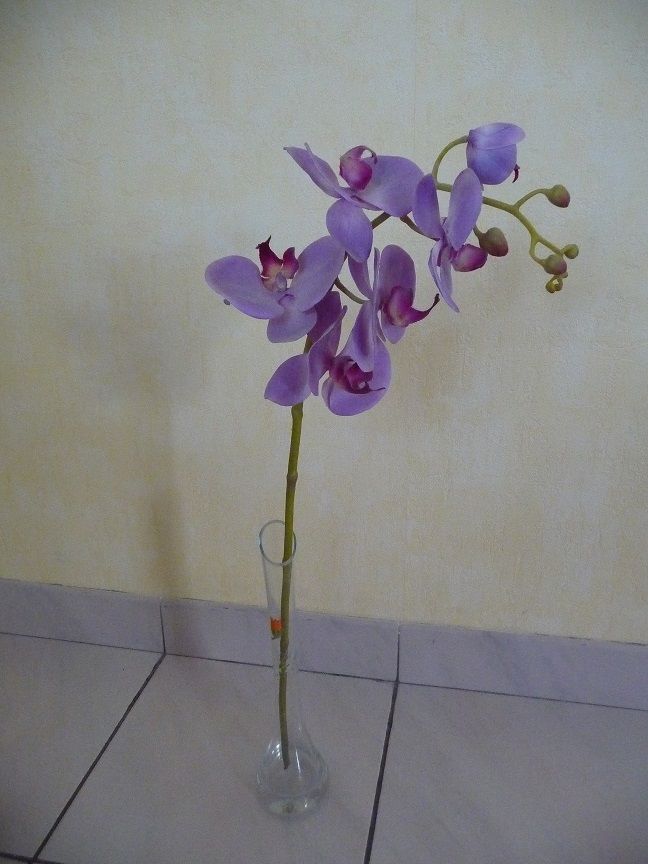 Orchid�e mauve artificielle 12 Celles-sur-Belle (79)